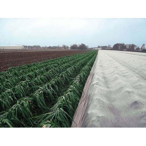 Agriculture Crop Cover