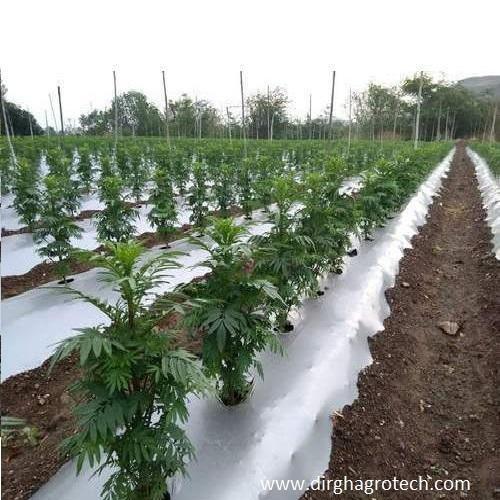AGRICULTURE MULCH FILM