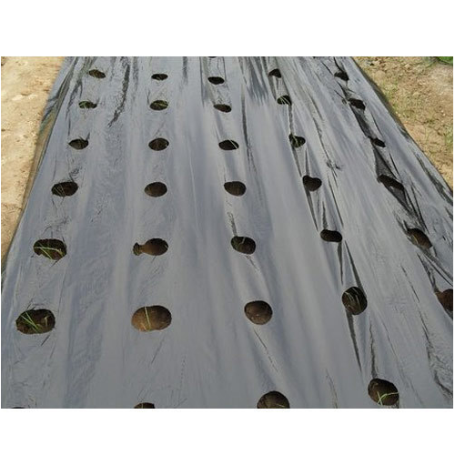 Bio Agri Mulch Film