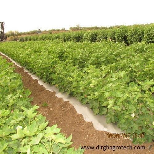 Cotton Mulching Film