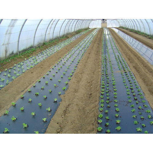 Plastic Mulching Film
