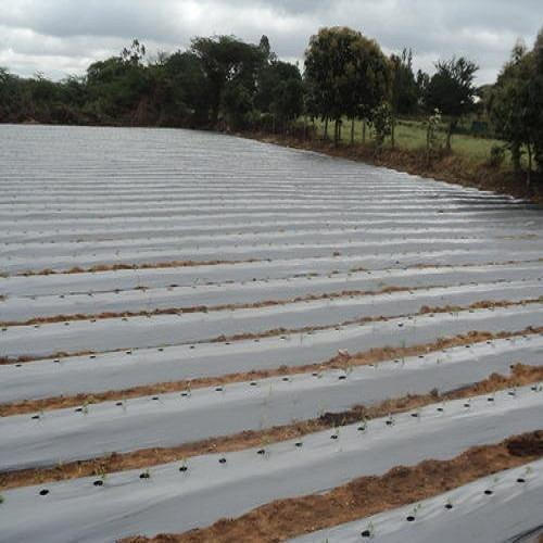 Reflective Mulch Film