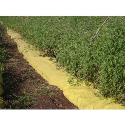 Yellow Black Mulching Film