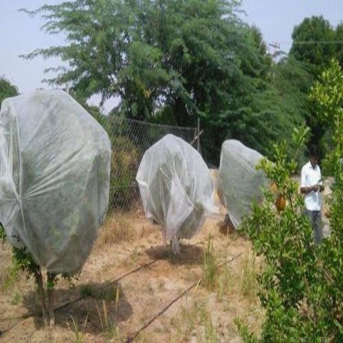 CROP COVER
