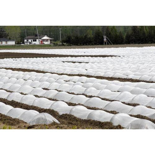 Non Woven Crop Cover
